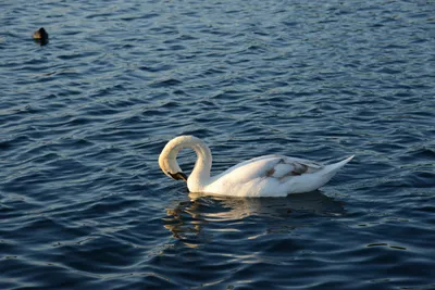 DSC_7138 (Large).JPG